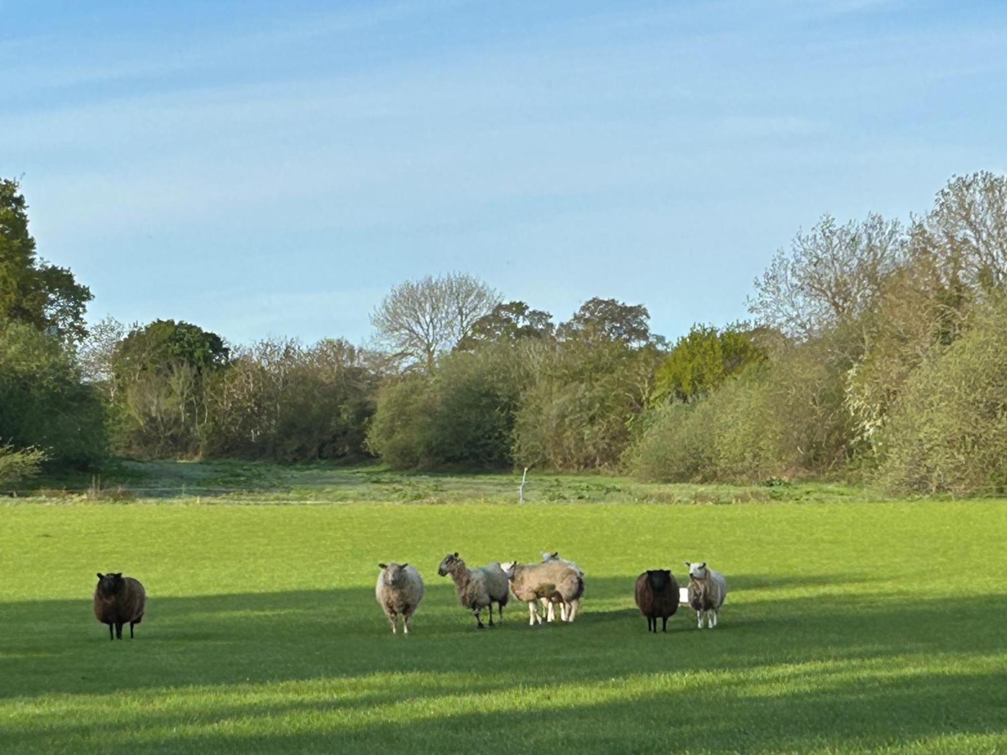 Oak Barn In The Cotswolds Near Moreton In Marsh Shipston-on-Stour Bagian luar foto